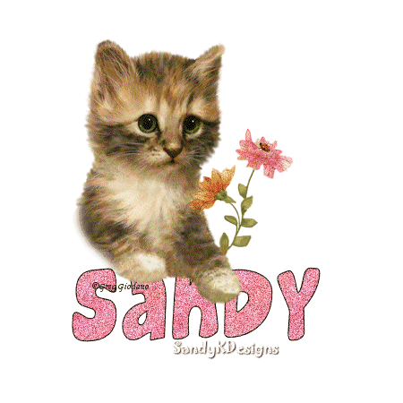 SaucySandy 